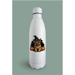 Insulated Bottle GS(54)