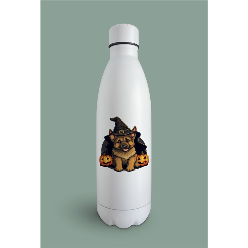 Insulated Bottle GS(54)