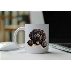 11oz mug  - peeking dog - Newfoundland
