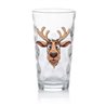 Highball Glass - cd (13)