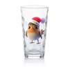 Highball Glass - robin (7)