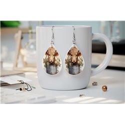 Teardrop Earrings - Highland Cattle - HCTDE(202)