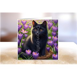 Greeting Card - Matt - 145x145mm - BC(12)