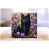 Greeting Card - Matt - 145x145mm - BC(12)