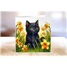 Greeting Card - Matt - 145x145mm - BC(21)