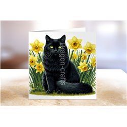 Greeting Card - Matt - 145x145mm - BC(26)