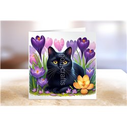 Greeting Card - Matt - 145x145mm - BC(35)