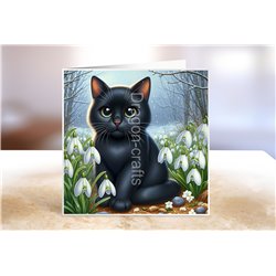 Greeting Card - Matt - 145x145mm - BC(41)