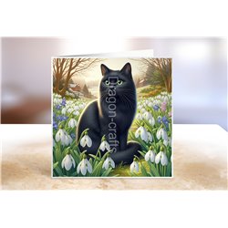 Greeting Card - Matt - 145x145mm - BC(47)