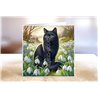 Greeting Card - Matt - 145x145mm - BC(47)