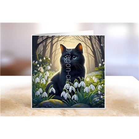 Greeting Card - Matt - 145x145mm - BC(6)