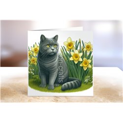 Greeting Card - Matt - 145x145mm - OTH(1)