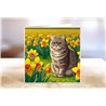 Greeting Card - Matt - 145x145mm - OTH(10)