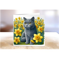 Greeting Card - Matt - 145x145mm - OTH(8)