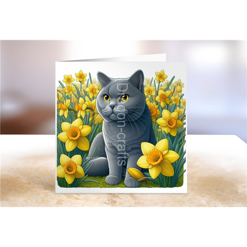 Greeting Card - Matt - 145x145mm - OTH(8)