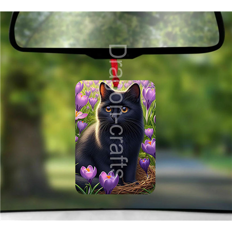 Hanging Air Freshener  - BC(12)