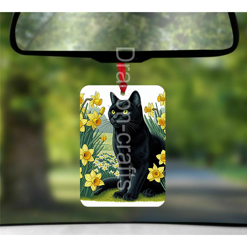 Hanging Air Freshener  - BC(2)