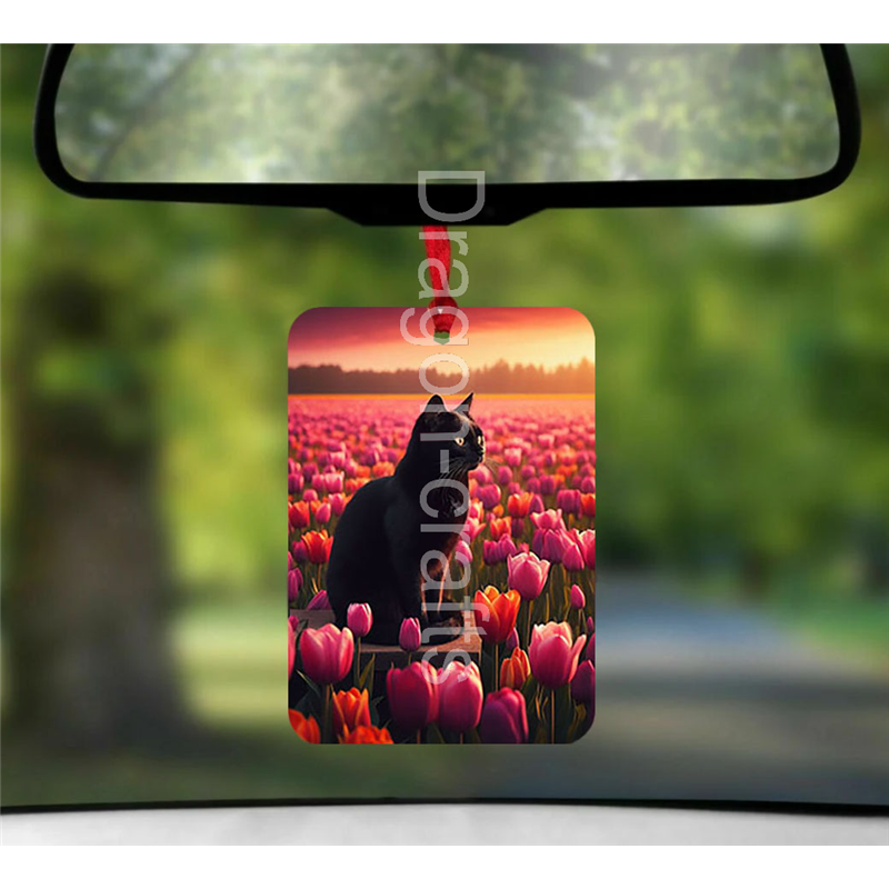 Hanging Air Freshener  - BC(24)