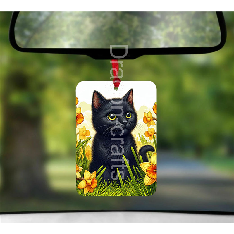 Hanging Air Freshener  - BC(30)