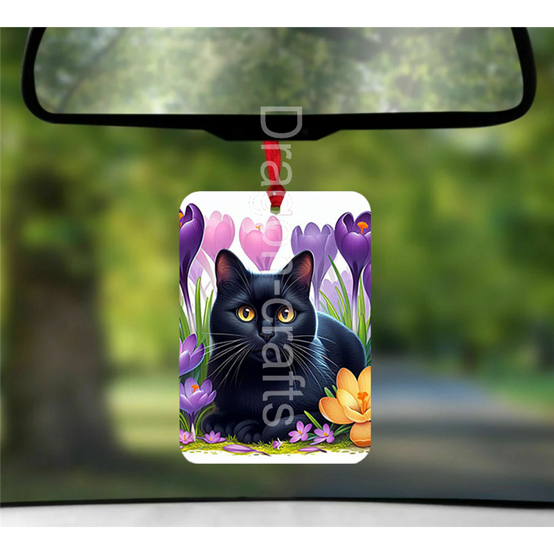 Hanging Air Freshener  - BC(35)