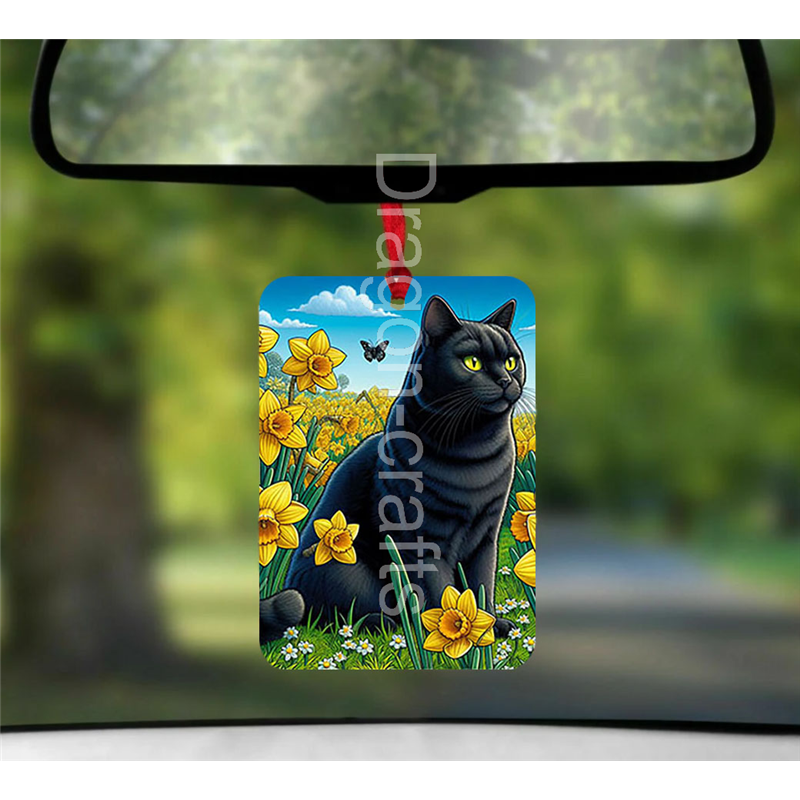 Hanging Air Freshener  - BC(37)