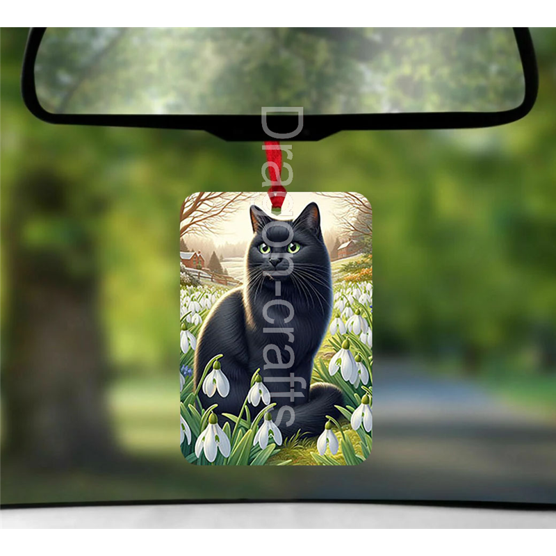 Hanging Air Freshener  - BC(47)