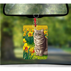 Hanging Air Freshener  - OTH(10)