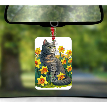 Hanging Air Freshener  - OTH(4)