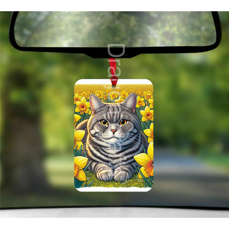 Hanging Air Freshener  - OTH(6)