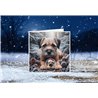 Xmas Card- Bor (10)