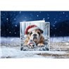 Xmas Card- Bul (7)