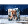 Xmas Card- Chow (2)