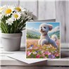 Greeting Card Matt 145x145mm - Bic(11)