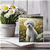 Greeting Card Matt 145x145mm - Bic(12)