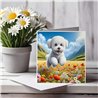 Greeting Card Matt 145x145mm - Bic(19)