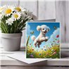 Greeting Card Matt 145x145mm - Bic(4)