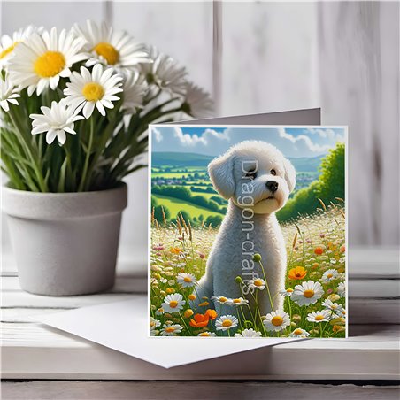Greeting Card Matt 145x145mm - Bic(5)