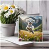 Greeting Card Matt 145x145mm - Bic(7)