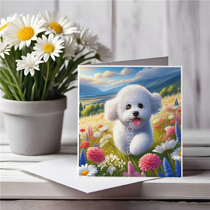 Greeting Card Matt 145x145mm - Bic(8)