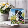 Greeting Card Matt 145x145mm - Bor(3)
