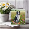 Greeting Card Matt 145x145mm - Bor(4)