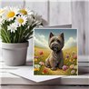Greeting Card Matt 145x145mm - Cai(8)