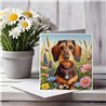Greeting Card Matt 145x145mm - Dac(10)