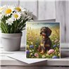 Greeting Card Matt 145x145mm - Dac(12)