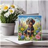 Greeting Card Matt 145x145mm - Dac(7)