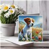 Greeting Card Matt 145x145mm - JR(10)