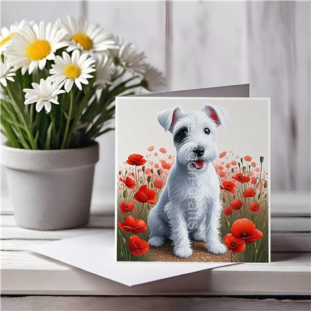 Greeting Card Matt 145x145mm - JR(12)