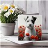 Greeting Card Matt 145x145mm - JR(20)