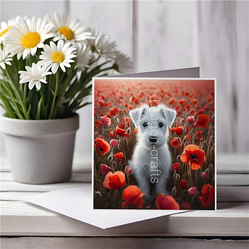 Greeting Card Matt 145x145mm - JR(24)