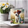 Greeting Card Matt 145x145mm - JR(25)